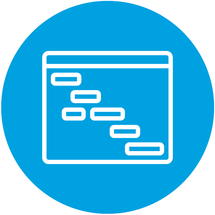 Project Plan Gantt View